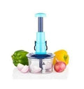 SpaceNest Multi-Functional Vegetable Chopper | Kitchen Food Slicer & Dicer with Storage Container